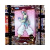 Akaza - Kimetsu No Yaiba SEGA Super Premium Figure
		
		
			ID: 001755